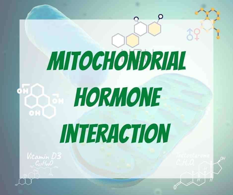 Mitochondrial Hormone Interaction (A Newfound Potential Mechanism) Dr