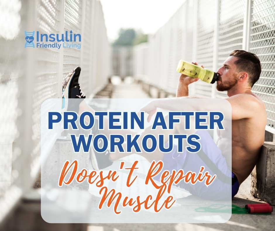 Eating After A Workout (Doesn’t Repair Muscle) Dr. Don Clum